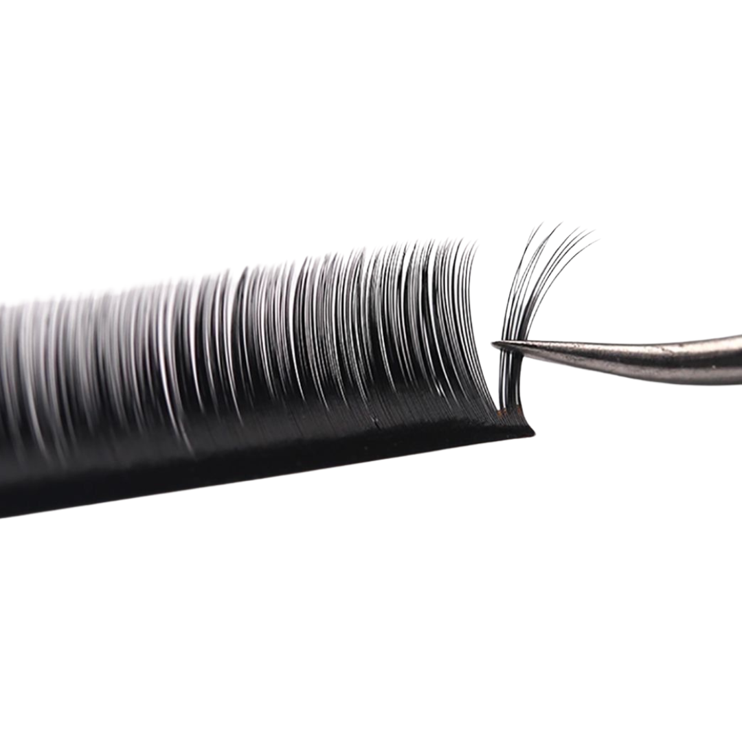 PREMIUM LASHES