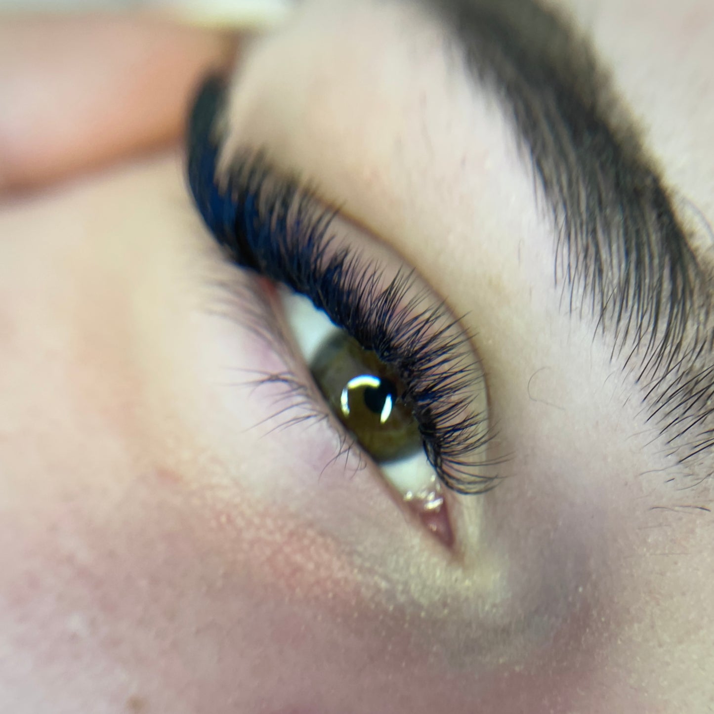 PREMIUM LASHES