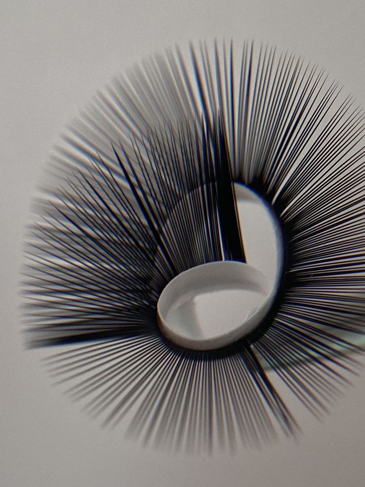 PREMIUM LASHES